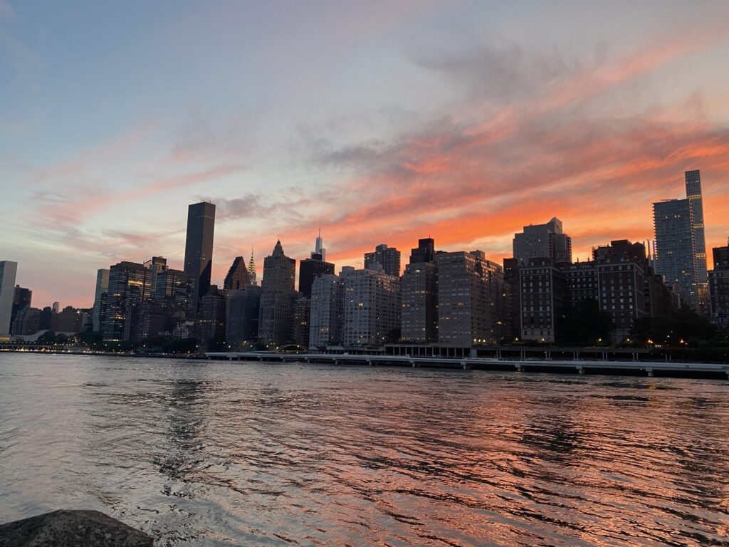 roosevelt island2161