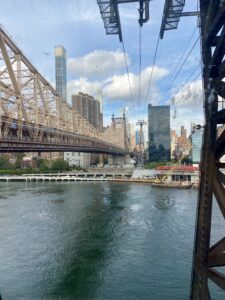 roosevelt island2189