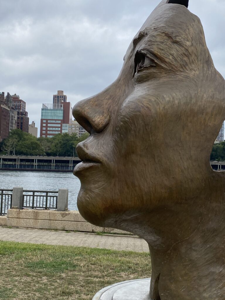 roosevelt island2894