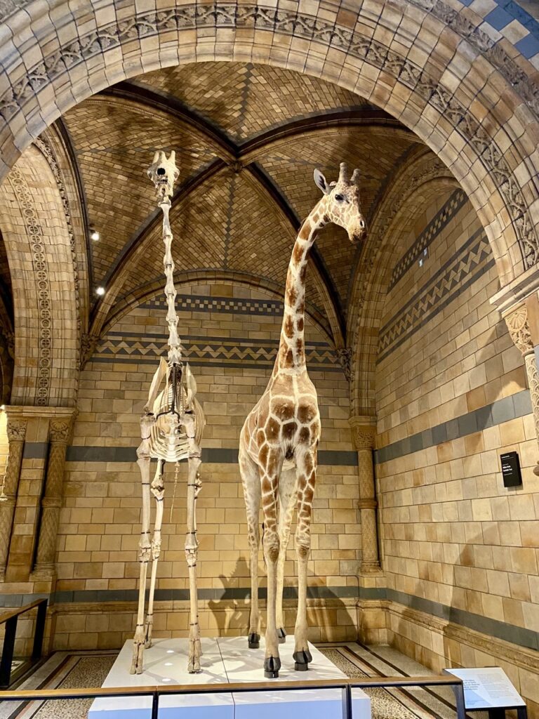 Londra-itinerario-di-4-giorni